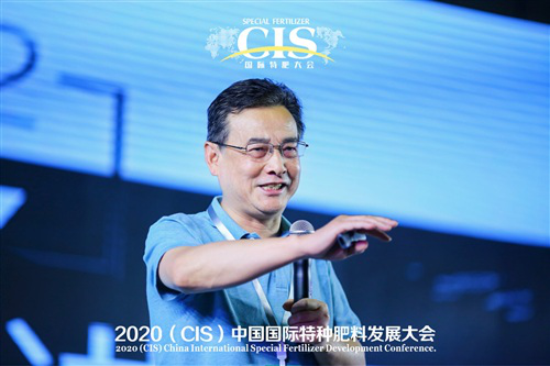 戰役時刻，重筑特肥新賽道（二）