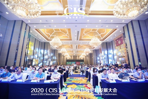 戰役時刻，重筑特肥新賽道——開篇