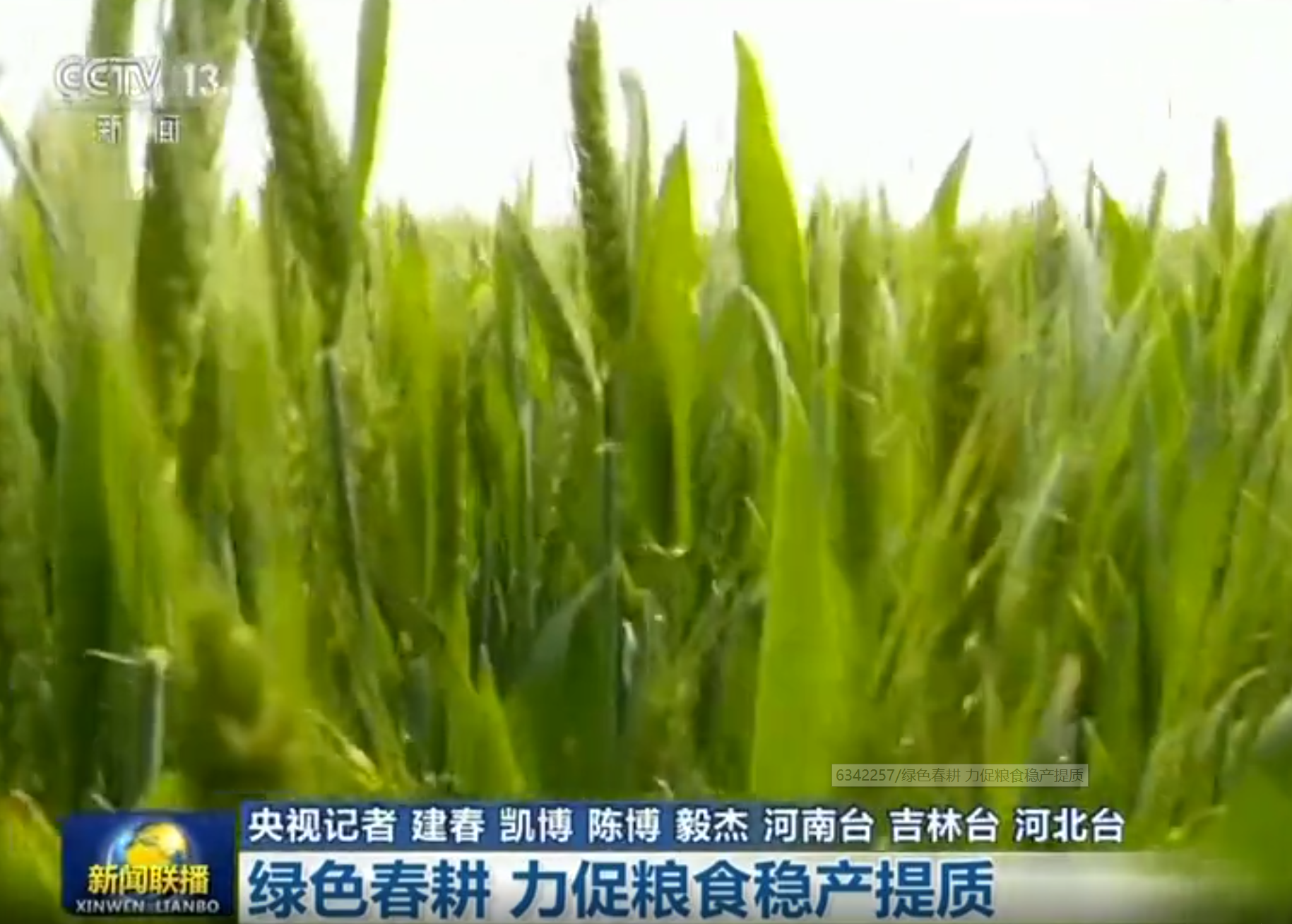 綠色春耕 力促糧食穩產提質